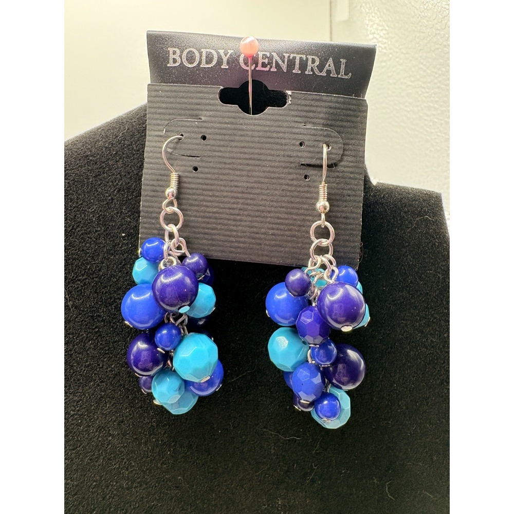 Body‎ Central Shades of Blue Dangle Earrings
